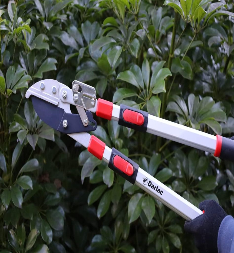 Darlac Telescopic Ratchet Lopper – Recommended by Professionals – Extendable Handles – Powerful Ratchet Action – 50mm Cut Capacity – Ideal for Gardeners with Dexterity Issues - SK5 Carbon Steel Blade