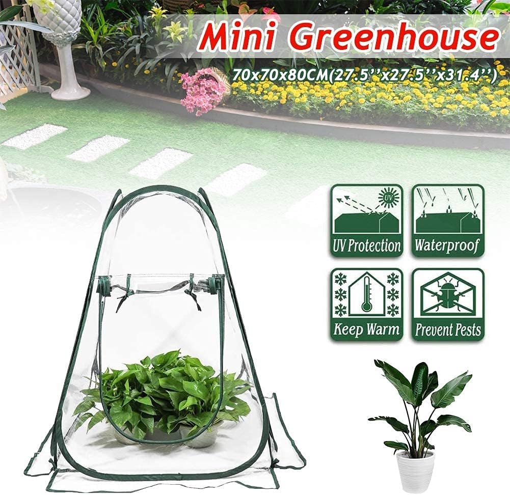 WAIZHIUA Mini Greenhouse Portable PVC Pop Up Grow Tent Greenhouse Gardening Plant Cover Indoor Outdoor Grow House with 4pcs Stakes for Garden Backyard Patio Plant Cold Frost Protector(70x70x80cm)