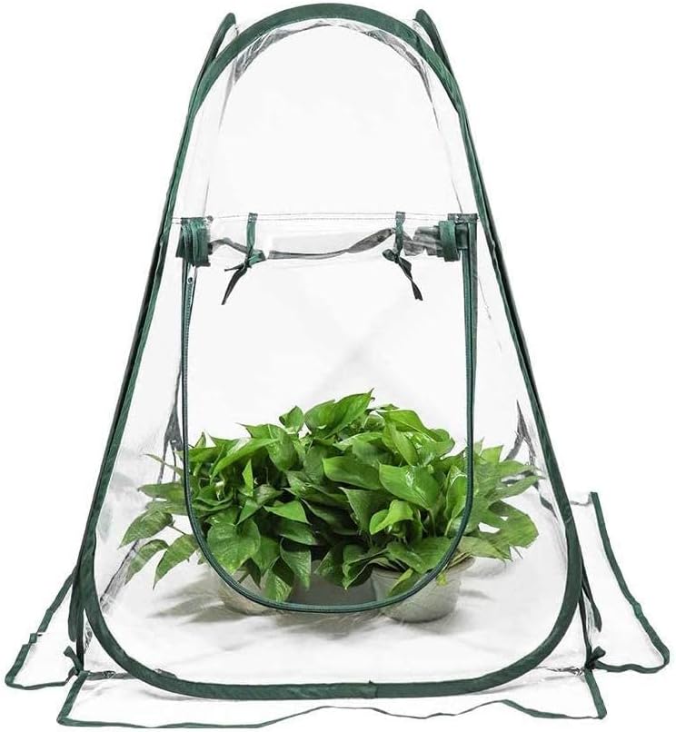 WAIZHIUA Mini Greenhouse Portable PVC Pop Up Grow Tent Greenhouse Gardening Plant Cover Indoor Outdoor Grow House with 4pcs Stakes for Garden Backyard Patio Plant Cold Frost Protector(70x70x80cm)